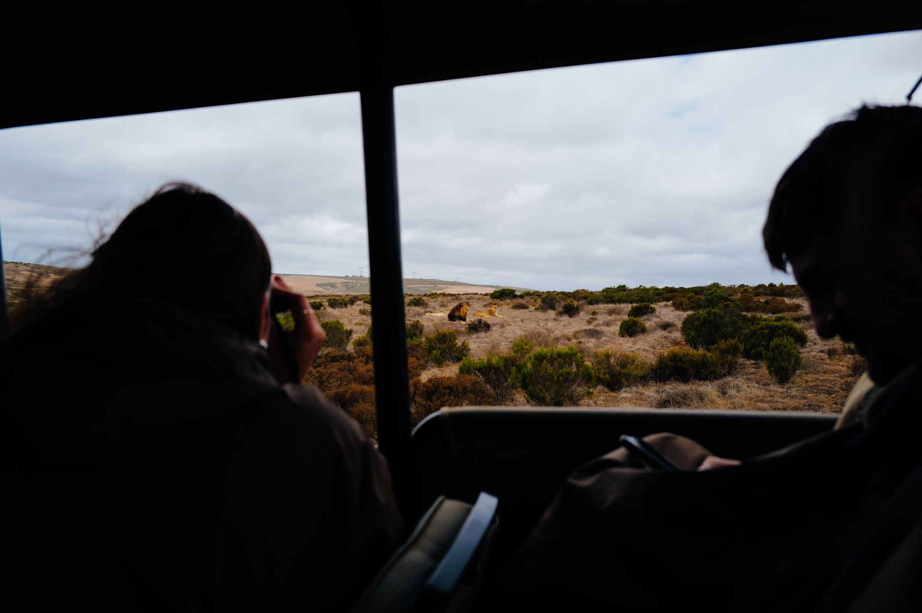 Safari Jeep at Aquila Game Reserve