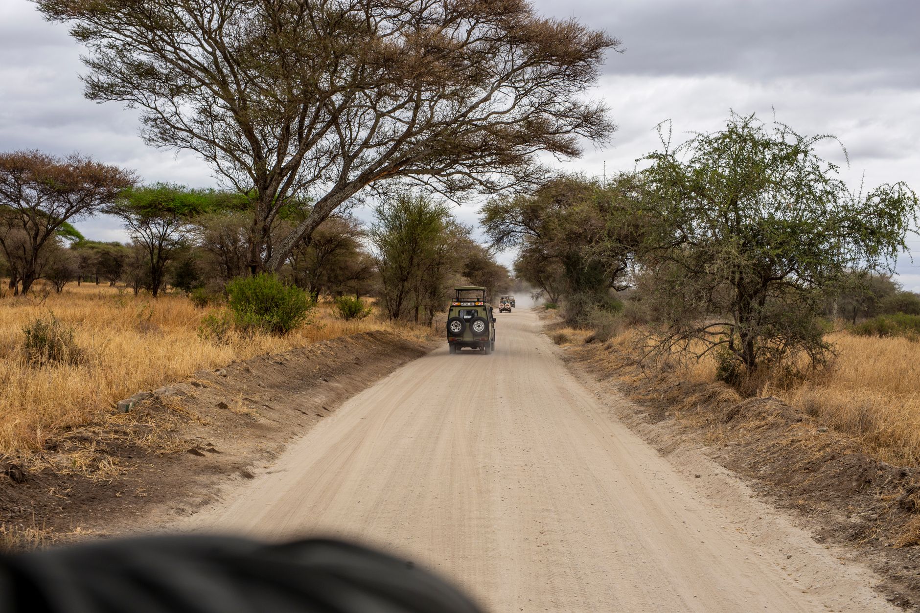 The Definitive Cape Town & South Africa Safari Guide (2026)